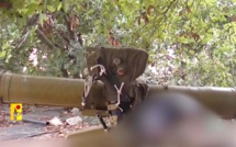 Liban : Hezbollah avorte une infiltration israélienne