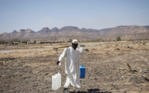 L'ONU plaide pour un "travail collectif" soutenu en faveur de la paix au Soudan