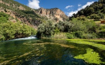 Parc national d’Ifrane : Appel à manifestation d’intérêt pour l’aménagement et la valorisation écotouristique