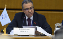 Vienne : Le Maroc appelle à insuffler un nouvel élan à l'action collective contre le problème mondial des drogues