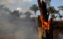 Etude : Plus de 60 % des zones récupérées de l'Amazonie brésilienne ont été à nouveau dévastées