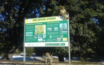 Ifrane : Lancement des travaux de valorisation du Parc National 