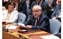 Les Palestiniens relancent la procédure pour devenir Etat membre de l'ONU
