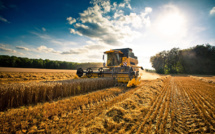 Campagne agricole 2023-2024: Ajustement et renforcement du programme des cultures de printemps dans la région Rabat-Salé-Kénitra