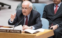 Le Conseil de sécurité examine la demande d’adhésion de la Palestine à l’ONU