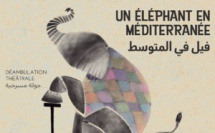 Spectacle : Un éléphant en Méditerranée