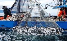 Accord de Pêche avec l'UE : le Maroc exige un partenariat mutuellement bénéfique 