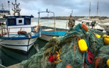 Tanger: Rencontre hispano-marocaine sur la durabilité des pêcheries dans la mer d'Alboran