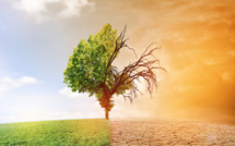 Transition climatique : Impact grandissant sur les risques financiers des banques !