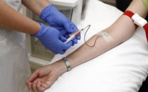 Hémophilie au Maroc : 3000 cas, 17 centres spécialisés, nouveaux partenariats...Zoom sur la riposte marocaine
