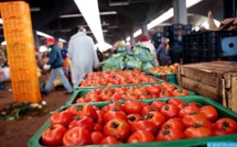 118è Convention annuelle de l’AFI: Les professionnels de l'industrie agroalimentaire en conclave à Marrakech