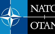 OTAN : Cameron appelle les membres de l'Alliance à augmenter leurs dépenses militaires