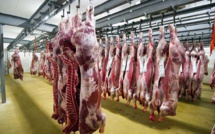 Laftit : 30 millions de dirhams alloués à la réforme des abattoirs dans plusieurs communes