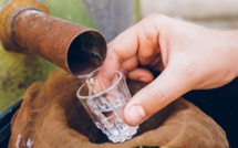Drame de l’alcool frelaté : Huit suspects arrêtés, dont sept poursuivis en détention