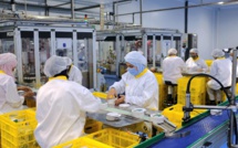 FAO : La durabilité, un challenge pour les entreprises agroalimentaires marocaines