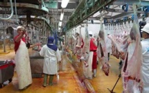 Casablanca: Les abattoirs de Casablanca prendront en charge l'abattage du sacrifice de l'Aïd Al Adha