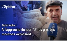 Aïd Al Adha : A l’approche du jour "J" les prix des moutons explosent