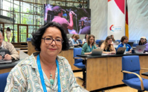 Akharbach plaide à pour l’implication de l’Afrique dans la gouvernance mondiale des plateformes numériques globales