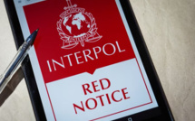 BNPJ : Interpellation d'un Danois accusé d'homicide volontaire recherché par l'Interpol 