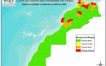 Incendies de forêts : Voici les zones à haut risque