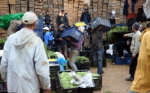 Commercialisation agricole : Est-ce la fin des intermédiaires des marchés de gros ?