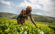 Flux mondiaux d’investissement : Près de 12% pour l’Afrique subsaharienne