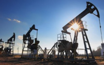 L'Arabie Saoudite annonce la découverte de nouveaux gisements de pétrole et de gaz