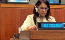 Bouayach appel à l'adoption d'approches globales en vue d'un équilibre entre l'évolution urbaine et la protection des droits de l'homme