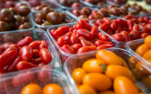Le champion des tomates cerises marocaines se défend face au "dénigrement" des producteurs français