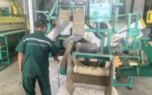 Un producteur de thé chinois vise le Maroc pour exporter vers l'Europe et l'Afrique