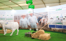 IDF Dairy Innovation Awards 2024: Hlib Bladi de Centrale Danone en finale