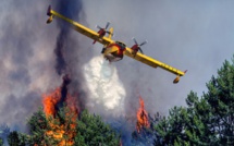 Incendies de forêts : Le secret d’une baisse inédite des zones sinistrées [INTÉGRAL]