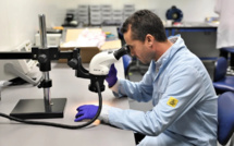 Fondation MAScIR : Le nouveau kit de diagnostic du Virus Mpox "UM6P-MAScIR MPOX qPCR", prêt à être commercialisé au Maroc et en Afrique