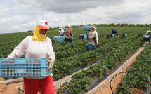 Espagne : Début de recrutement des saisonnières marocaines à Huelva 