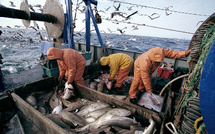 La pêche à l'ordre du jour d’un entretien maroco-mauritanien