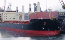 Maroc - Argentine : Deux cargaisons d'engrais marocains en route vers San Lorenzo et Ramallo