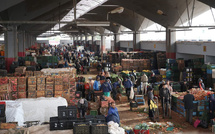Marché de Gros de Casablanca : 1,6 million de tonnes et 177 MDH de recettes en 2024