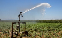 Irrigation agricole : Ultime riposte face à une année « désastreuse »