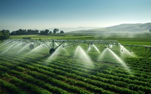 Irrigation agricole : Ultime riposte face à une année « désastreuse » [INTÉGRAL]