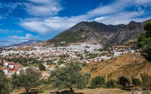 Province de Chefchaouen: Inauguration et lancement de plusieurs projets de développement agricole et rural