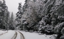 Bulletin d’alerte : Neige, averses orageuses et vents forts de mercredi à vendredi dans plusieurs provinces