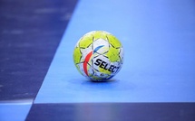 Mondial. Handball (h) 25: Danemark et Croatie en finale ce soir