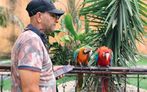 Protection des animaux : La polémique de Chaouen signe-t-elle le début du durcissement ?