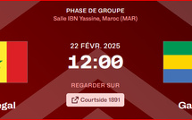 Qualifs. Afrobasket 25: Mission trop difficile pour les Lions face aux Léopards, ce samedi, à la salle Ibn Yassine ! (BeIN 6)
