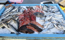 "Poisson à prix raisonnable" :  4.000 tonnes réparties sur 1.000 points de vente pour baisser les prix