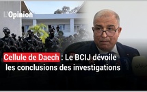Cellule démantelée : la saisie du cache d'armes a permis d'éviter une catastrophe (BCIJ) 