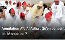 Annulation Aïd Al Adha : Qu’en pensent les Marocains ?