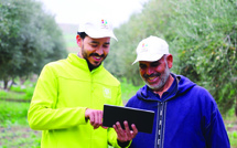 Al Moutmir : Plus de 987 plateformes de démonstration d’olivier en 2023-2024 au profit de plus de 640 agriculteurs
