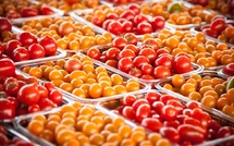 Approvisionnement: Énième hausse des prix des tomates