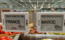 Tomates marocaines en France : Rabat et Paris visent un nouveau pacte gagnant-gagnant